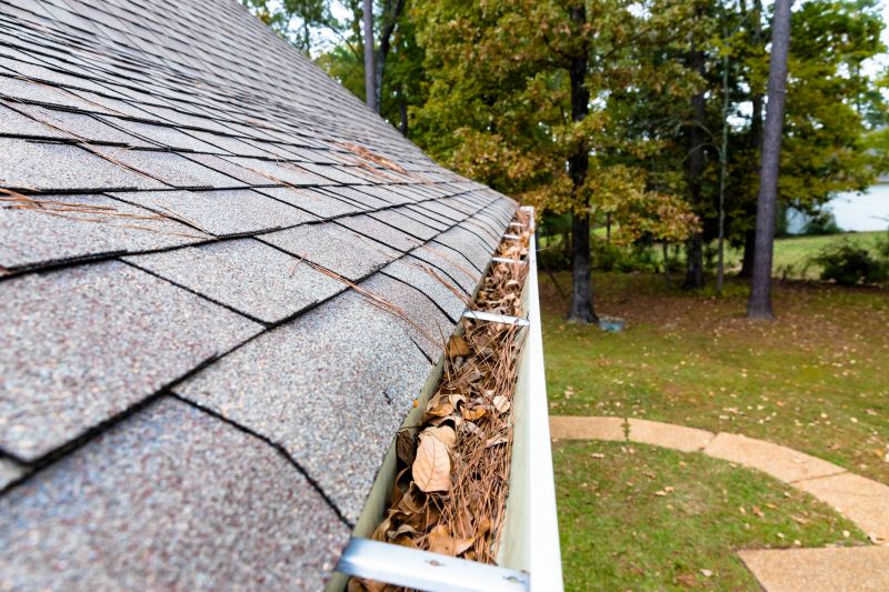 Commercial Gutter Maintenance in Denver County, CO
