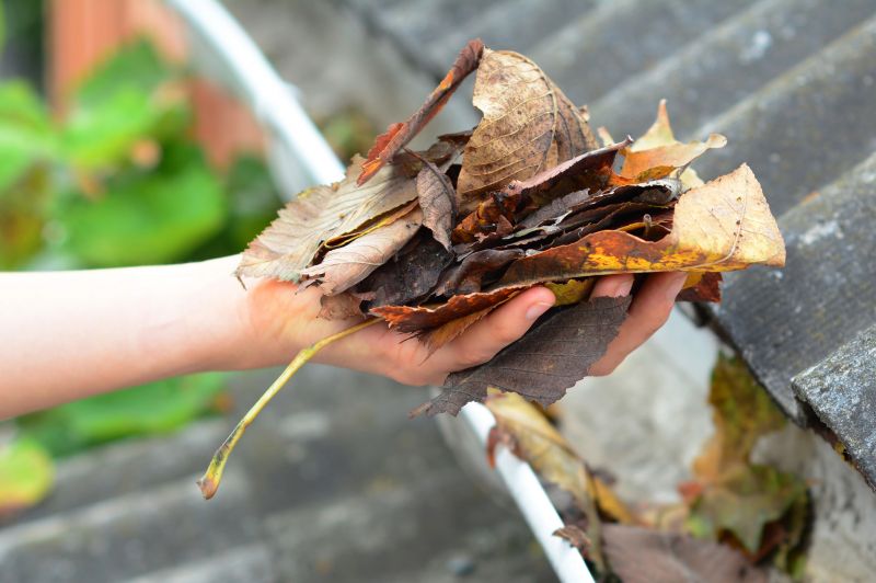 Gutter Leaf Clearing in Annapolis, MD