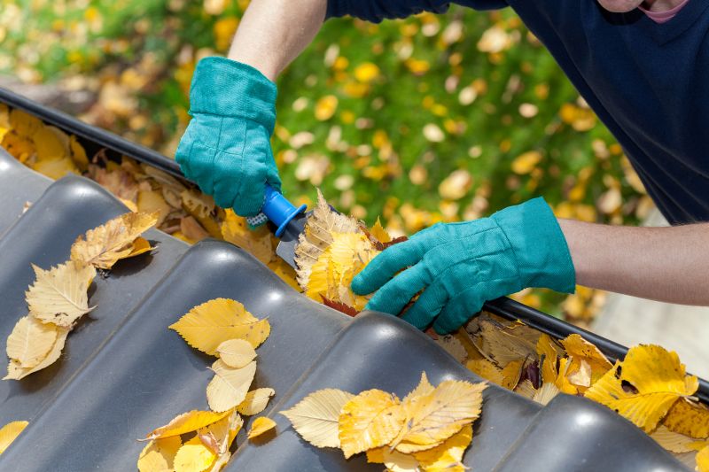 Business Gutter Cleaning in Littleton, CO