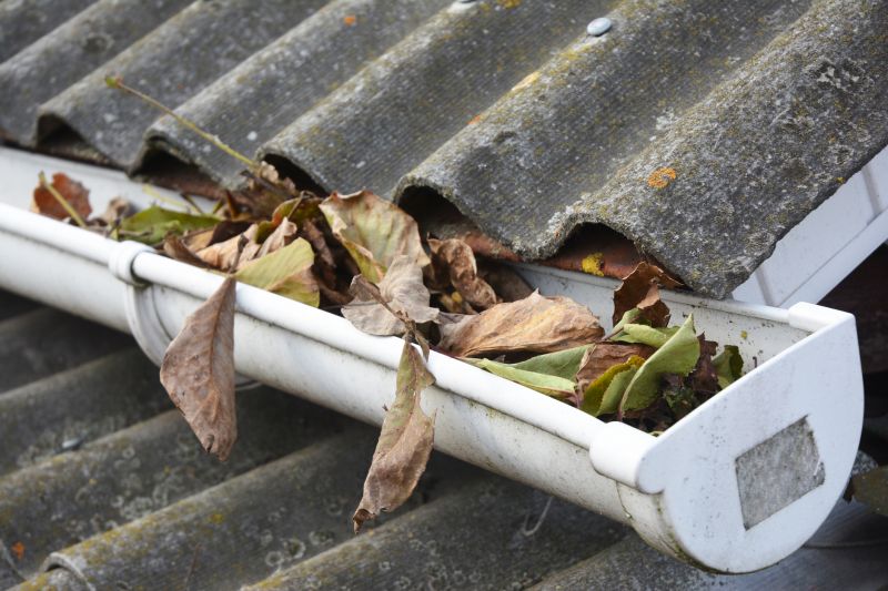 Clogged Gutter Clearing in Long Island, NY