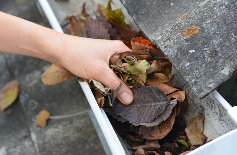 Commercial Gutter Cleaning in Sacramento, CA