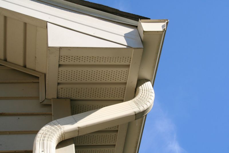 Downspout Cleaning in Frederick, MD