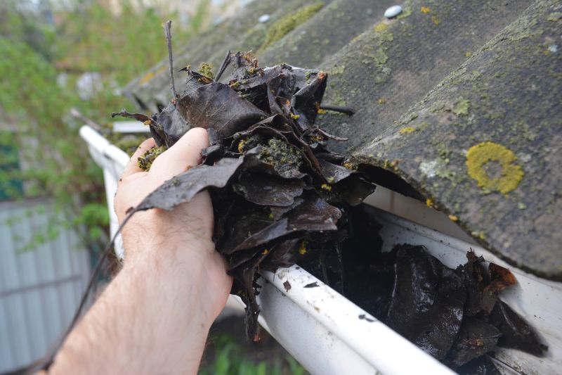 Downspout Cleaning in Arvada, CO