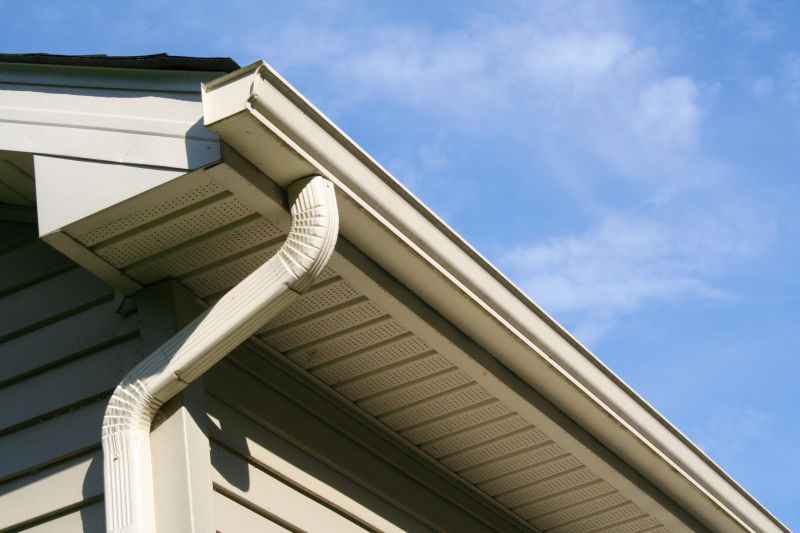 Downspout Snaking in Bergen County, NJ