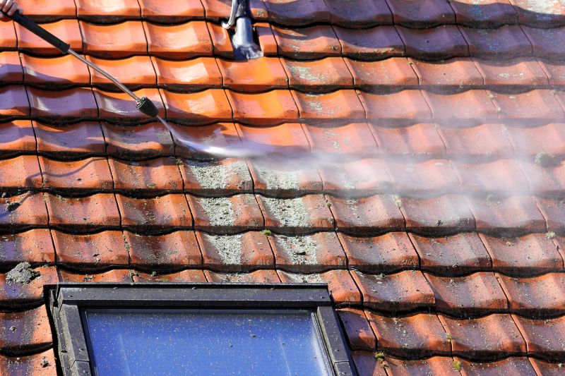 Garage Roof Power Washing in Vancouver, WA