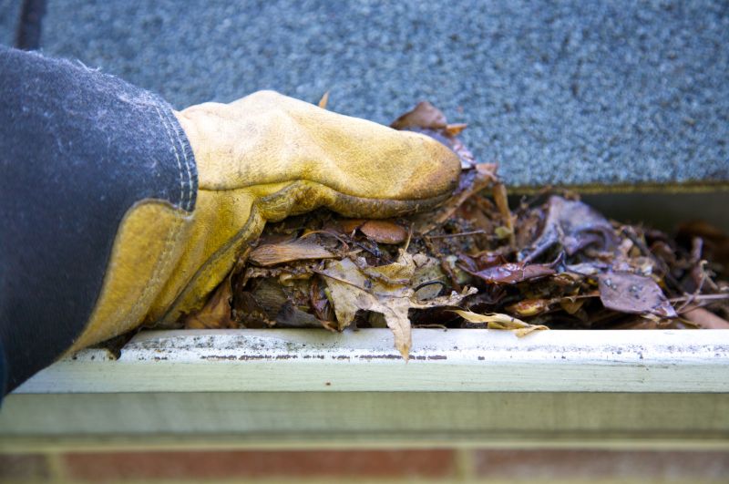 Gutter Blockage Removal in Fredericksburg, VA