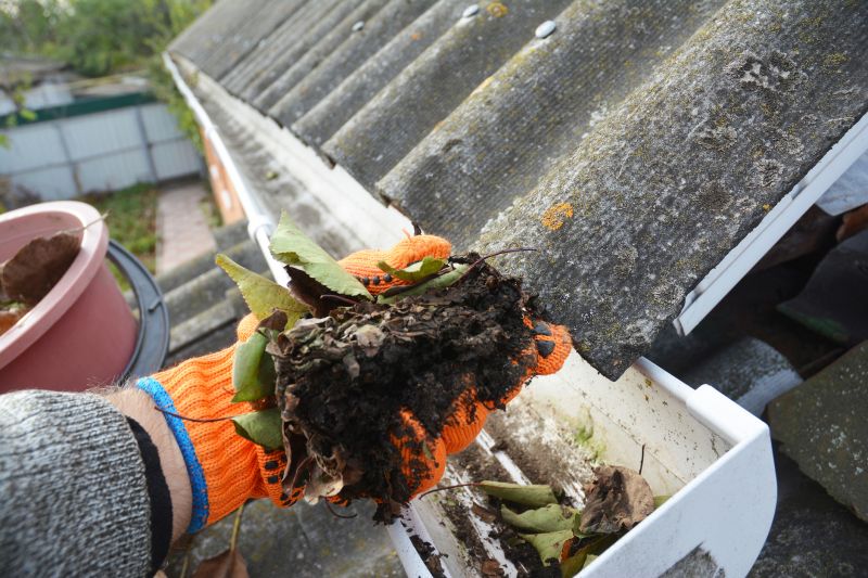 Gutter Cleaning in Monmouth County, NJ