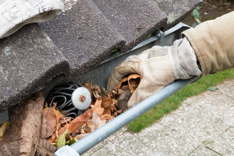 Gutter Cleaning in Richmond, VA