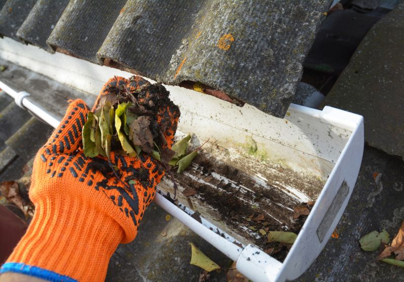 Gutter Cleaning in Annapolis, MD