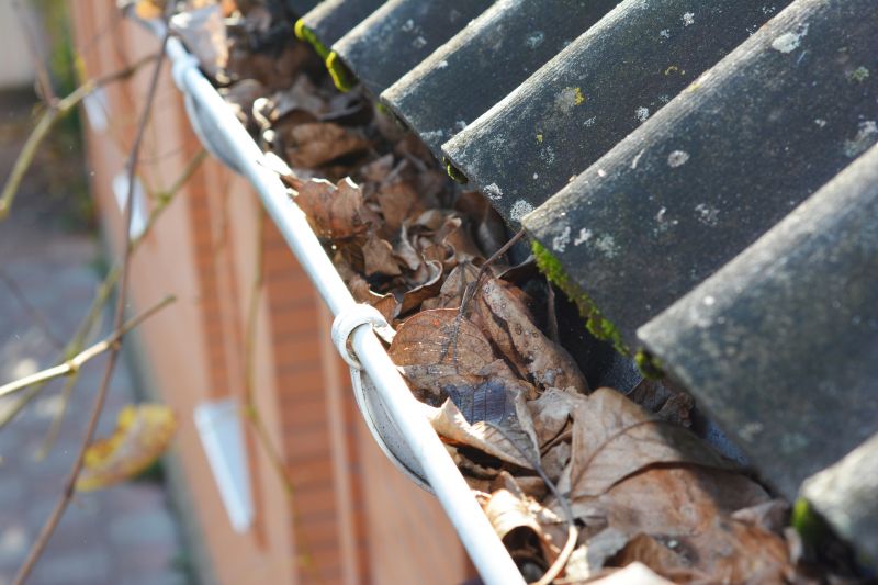 Gutter Leaf Clearing in Pittsburgh, PA
