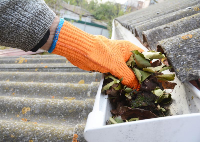 Gutter Leaf Clearing in Morris County, NJ