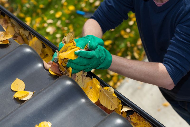 Gutter Leaf Clearing in Morris County, NJ