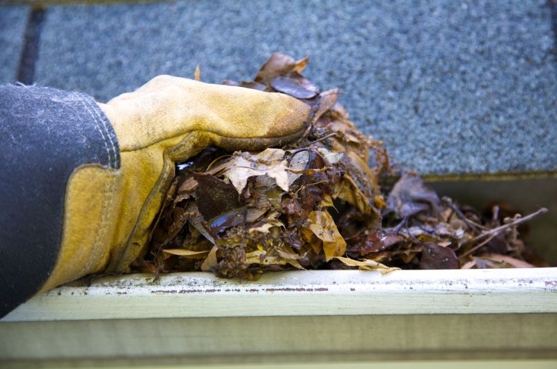 Gutter Leaf Clearing in Frederick, MD
