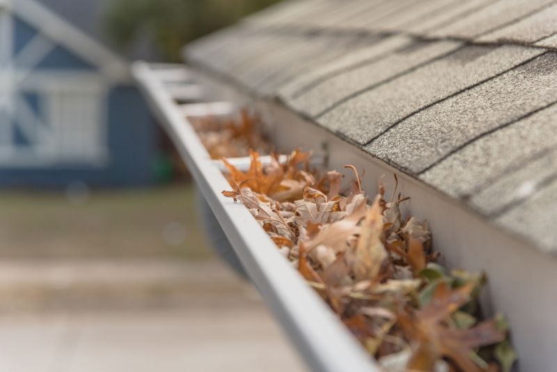 Gutter Leaves Removal in Baltimore, MD