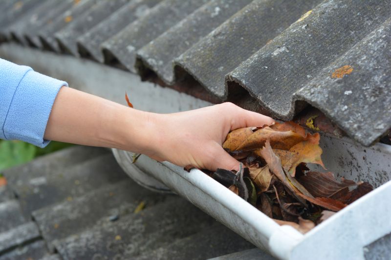 Gutter Leaves Removal in Morris County, NJ