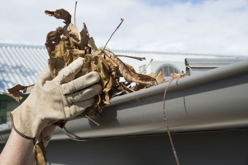 Gutter Leaves Removal in Rochester, NY
