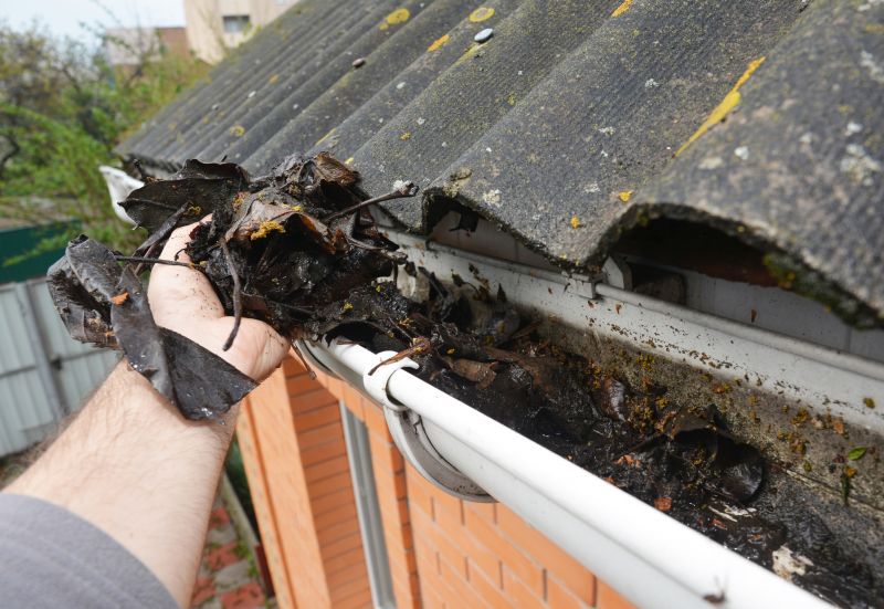 Gutter Leaves Removal in Annapolis, MD