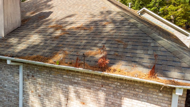 Gutter Pine Needle Removal in Boulder, CO