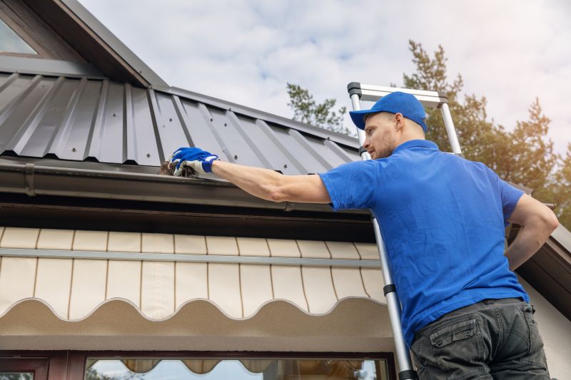 Roof Gutter Cleaning in Monmouth County, NJ
