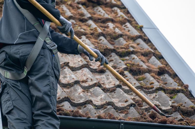 Roof Mildew Removal in Vancouver, WA