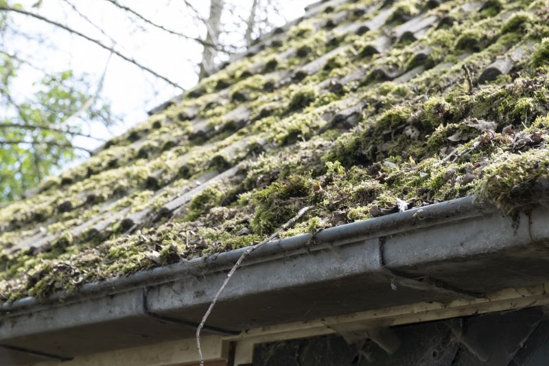 Roof Moss Removal in Vancouver, WA