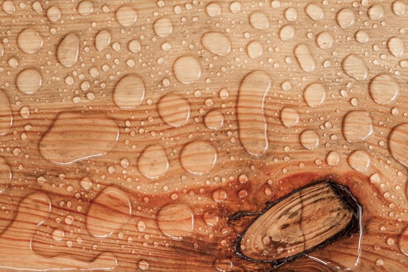 Wood Waterproofing in Kitsap County, WA